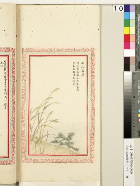 毛詩品物圖考（一）　冊　葭菼揭揭芄蘭之支