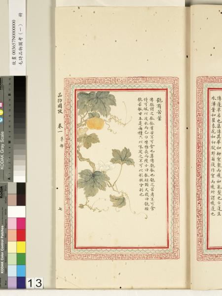 毛詩品物圖考（一）　冊　葭菼揭揭芄蘭之支