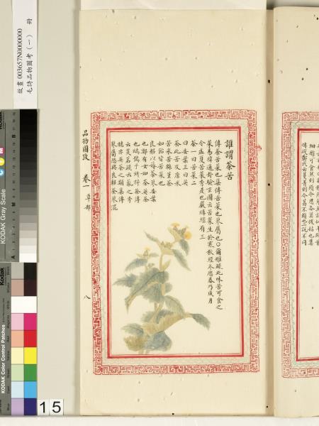 毛詩品物圖考（一）　冊　葭菼揭揭芄蘭之支