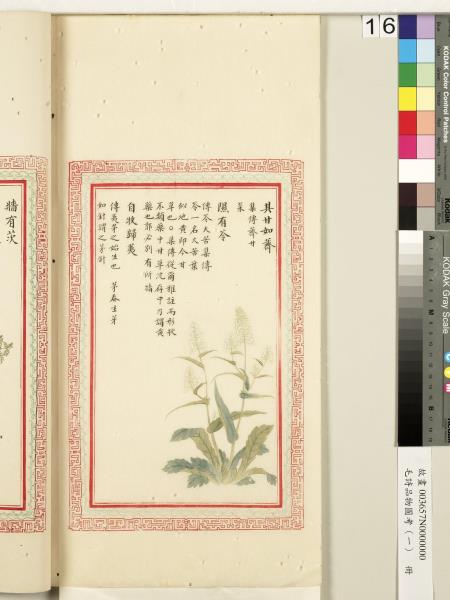 毛詩品物圖考（一）　冊　葭菼揭揭芄蘭之支