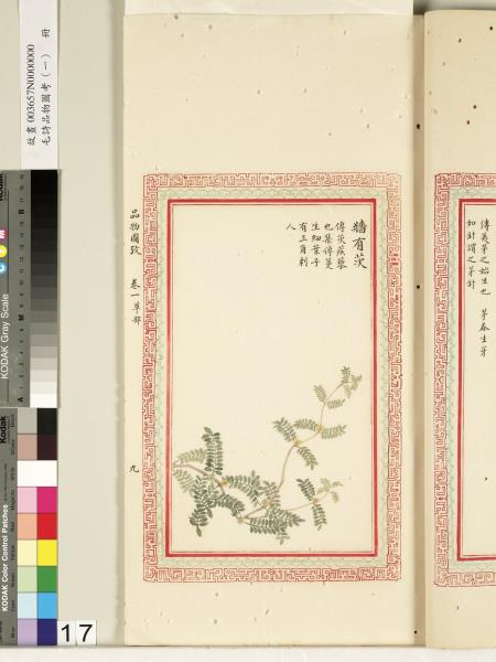 毛詩品物圖考（一）　冊　葭菼揭揭芄蘭之支