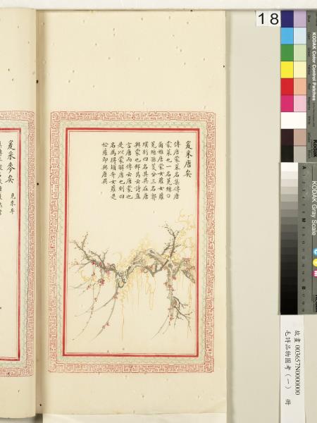 毛詩品物圖考（一）　冊　葭菼揭揭芄蘭之支