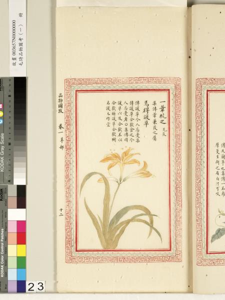 毛詩品物圖考（一）　冊　葭菼揭揭芄蘭之支