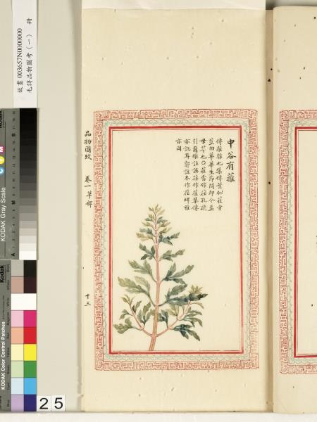 毛詩品物圖考（一）　冊　葭菼揭揭芄蘭之支