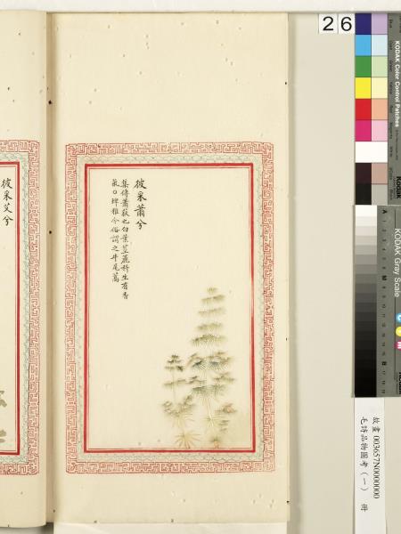 毛詩品物圖考（一）　冊　葭菼揭揭芄蘭之支