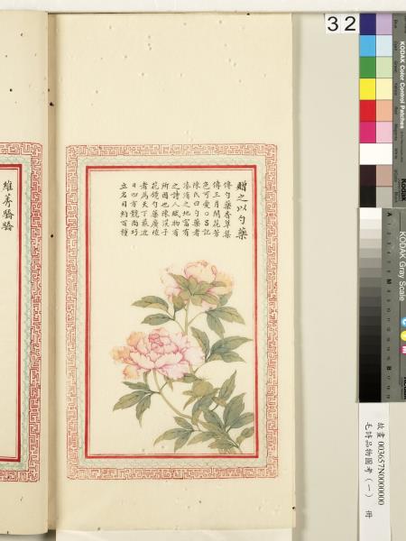 毛詩品物圖考（一）　冊　葭菼揭揭芄蘭之支