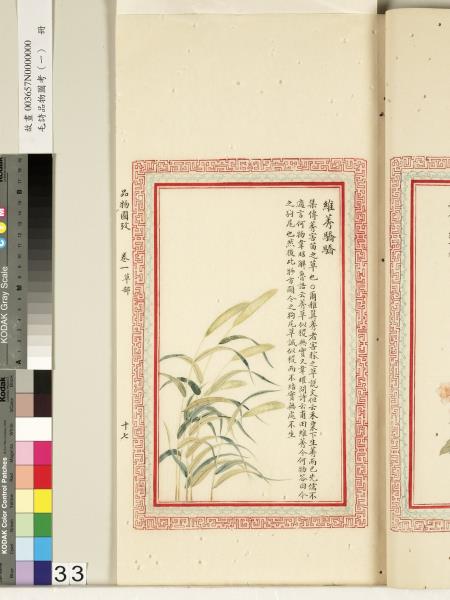 毛詩品物圖考（一）　冊　葭菼揭揭芄蘭之支