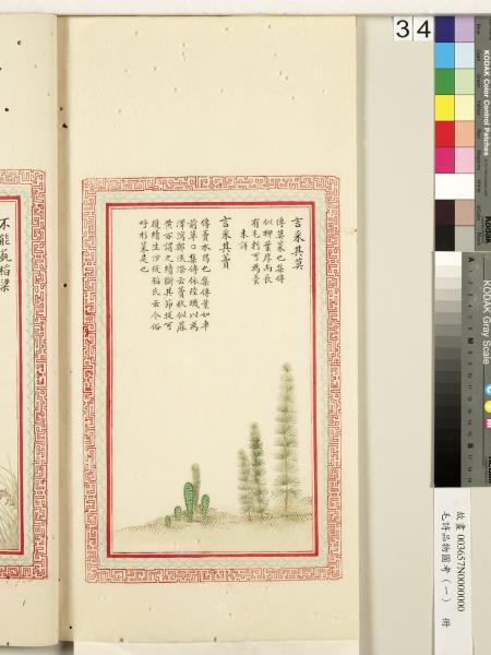 毛詩品物圖考（一）　冊　葭菼揭揭芄蘭之支