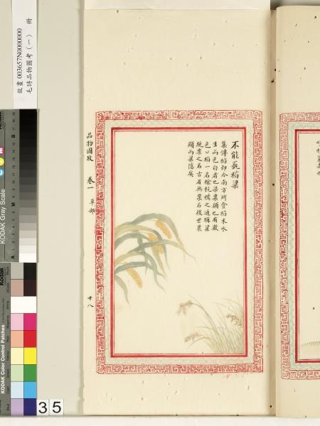 毛詩品物圖考（一）　冊　葭菼揭揭芄蘭之支