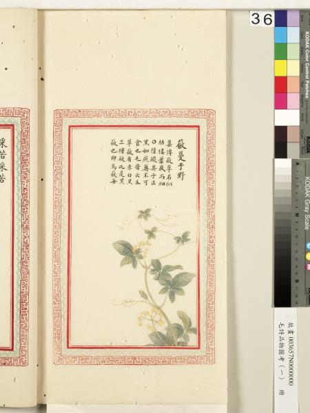 毛詩品物圖考（一）　冊　葭菼揭揭芄蘭之支