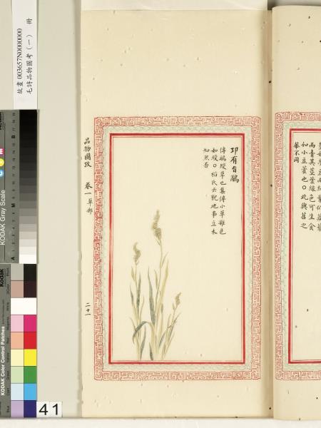 毛詩品物圖考（一）　冊　葭菼揭揭芄蘭之支