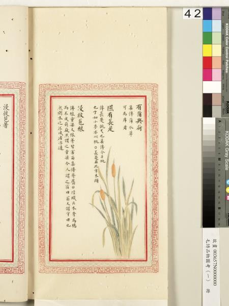 毛詩品物圖考（一）　冊　葭菼揭揭芄蘭之支