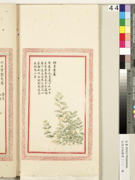 毛詩品物圖考（一）　冊　葭菼揭揭芄蘭之支