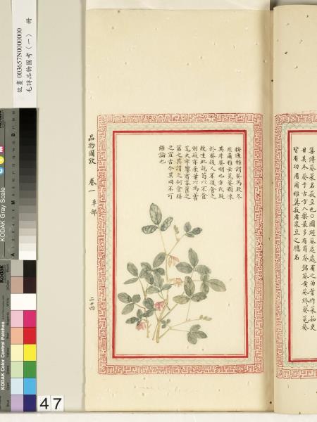 毛詩品物圖考（一）　冊　葭菼揭揭芄蘭之支