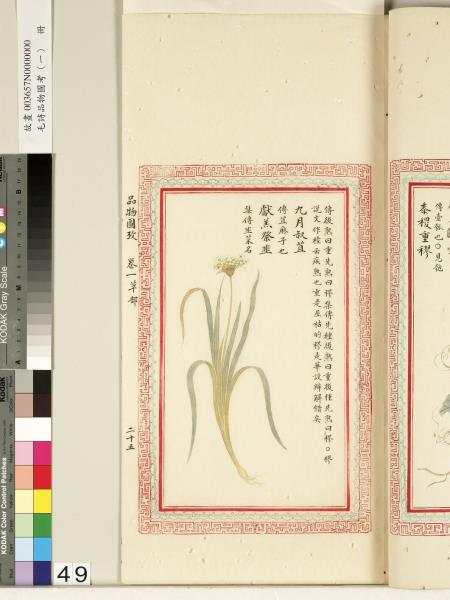 毛詩品物圖考（一）　冊　葭菼揭揭芄蘭之支