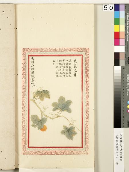 毛詩品物圖考（一）　冊　葭菼揭揭芄蘭之支