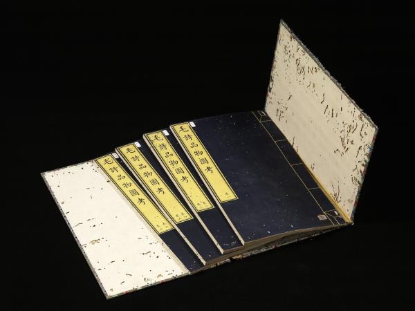 毛詩品物圖考（一）　冊　葭菼揭揭芄蘭之支