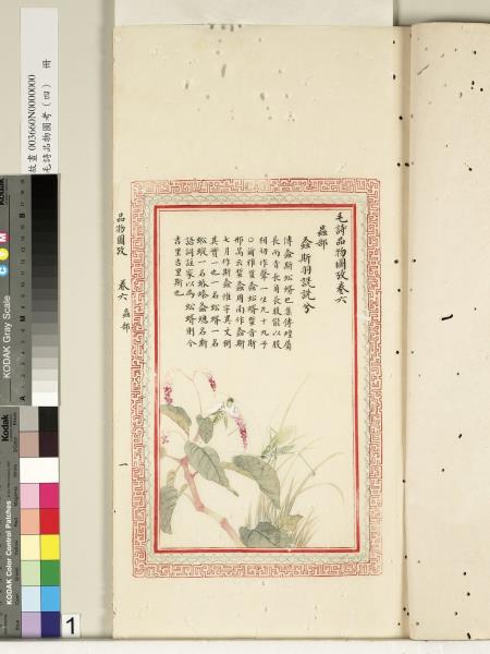 毛詩品物圖考（四）　冊　蠨蛸在戶