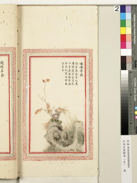 毛詩品物圖考（四）　冊　蠨蛸在戶