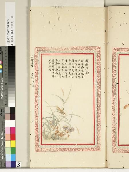 毛詩品物圖考（四）　冊　蠨蛸在戶