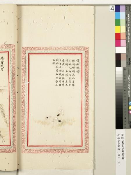 毛詩品物圖考（四）　冊　蠨蛸在戶