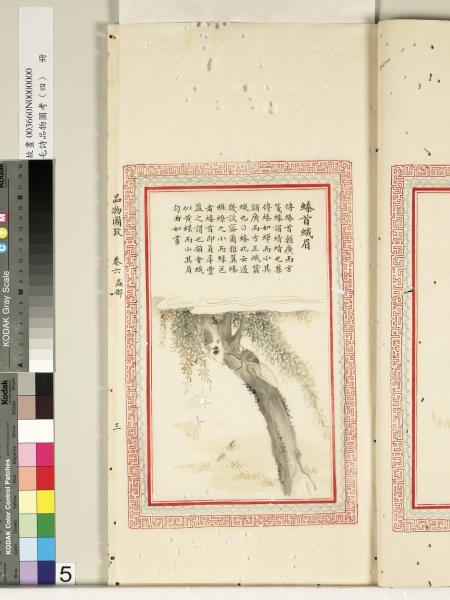 毛詩品物圖考（四）　冊　蠨蛸在戶