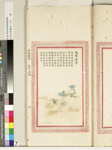 毛詩品物圖考（四）　冊　蠨蛸在戶