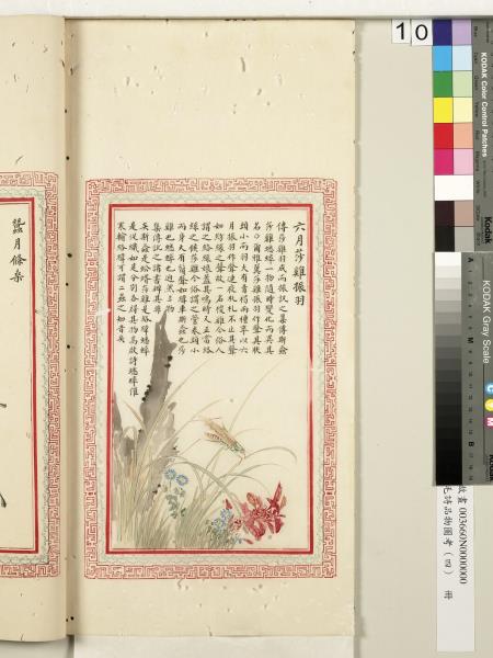 毛詩品物圖考（四）　冊　蠨蛸在戶