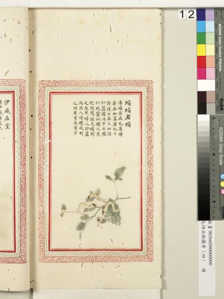 毛詩品物圖考（四）　冊　蠨蛸在戶