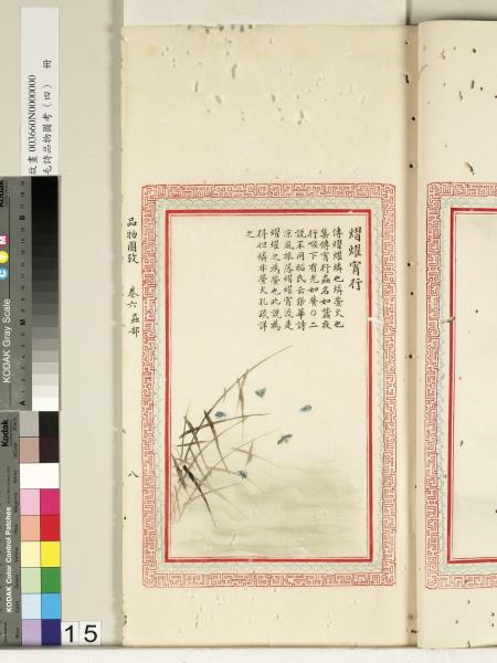 毛詩品物圖考（四）　冊　蠨蛸在戶