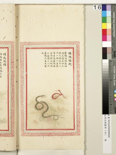 毛詩品物圖考（四）　冊　蠨蛸在戶