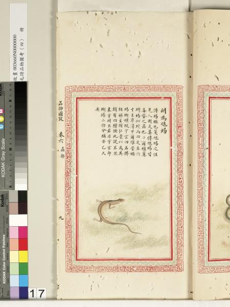 毛詩品物圖考（四）　冊　蠨蛸在戶