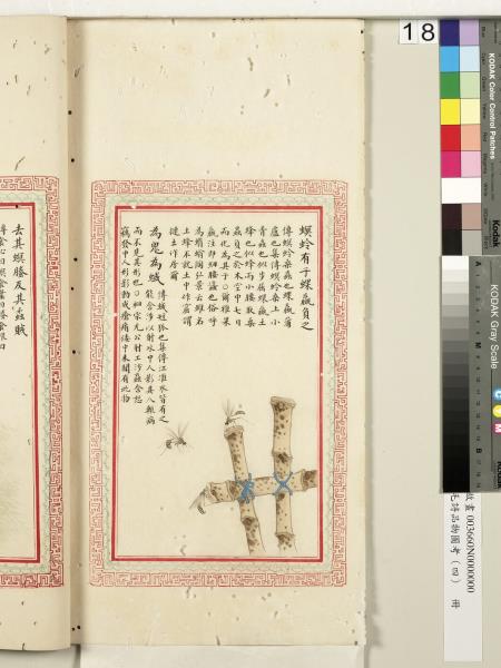 毛詩品物圖考（四）　冊　蠨蛸在戶