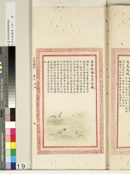 毛詩品物圖考（四）　冊　蠨蛸在戶