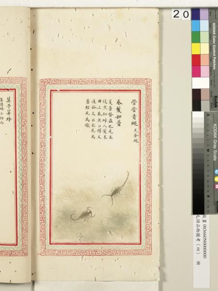 毛詩品物圖考（四）　冊　蠨蛸在戶