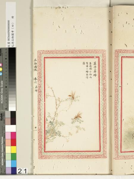 毛詩品物圖考（四）　冊　蠨蛸在戶