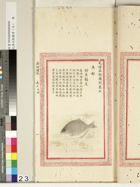 毛詩品物圖考（四）　冊　蠨蛸在戶