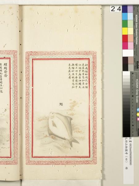 毛詩品物圖考（四）　冊　蠨蛸在戶