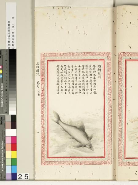 毛詩品物圖考（四）　冊　蠨蛸在戶