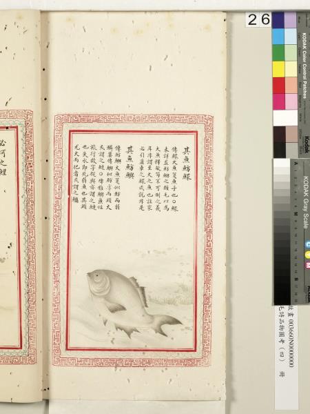 毛詩品物圖考（四）　冊　蠨蛸在戶