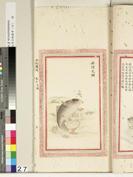 毛詩品物圖考（四）　冊　蠨蛸在戶