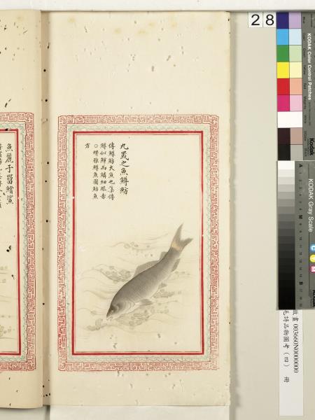 毛詩品物圖考（四）　冊　蠨蛸在戶