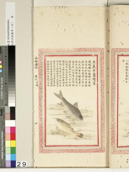 毛詩品物圖考（四）　冊　蠨蛸在戶