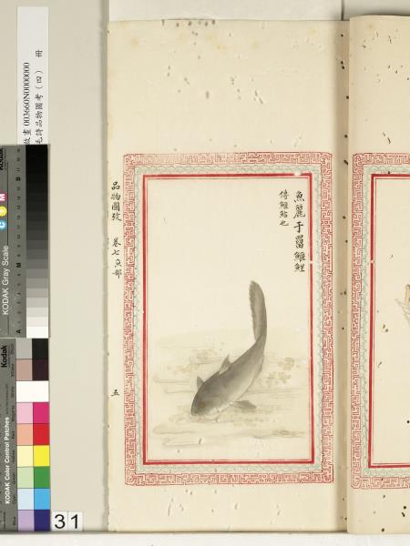 毛詩品物圖考（四）　冊　蠨蛸在戶