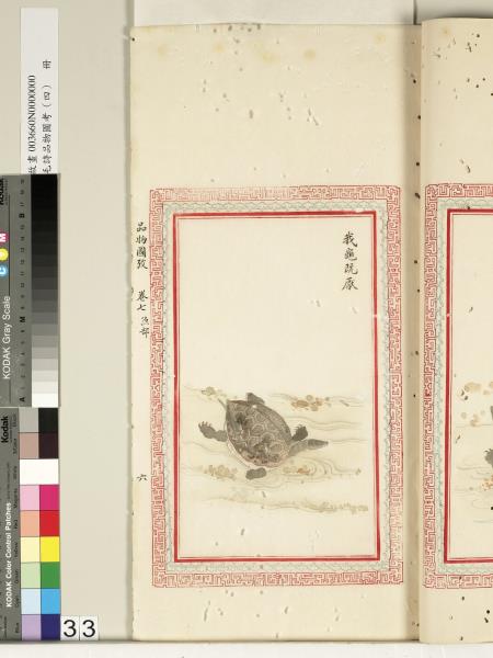 毛詩品物圖考（四）　冊　蠨蛸在戶