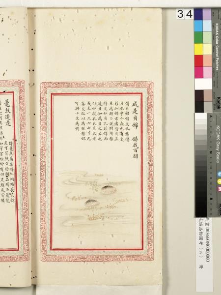 毛詩品物圖考（四）　冊　蠨蛸在戶