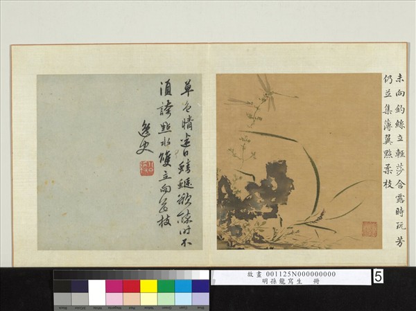 明孫龍寫生　冊　草石蜻蜓