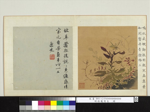 明孫龍寫生　冊　草蟲