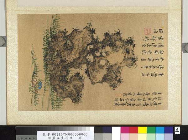 明藍瑛畫花鳥　冊　湖石菖蒲