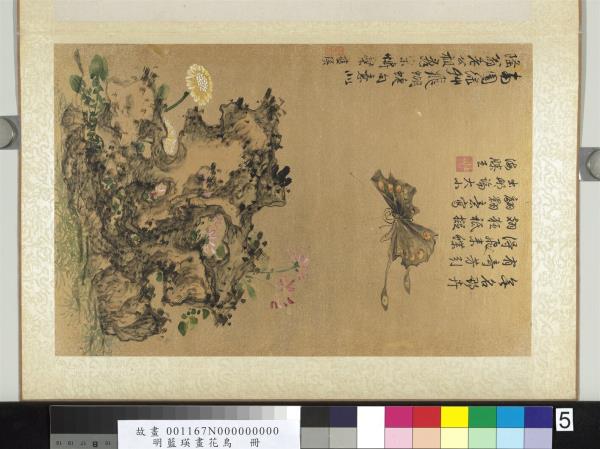 明藍瑛畫花鳥　冊　綠叢飛蝶